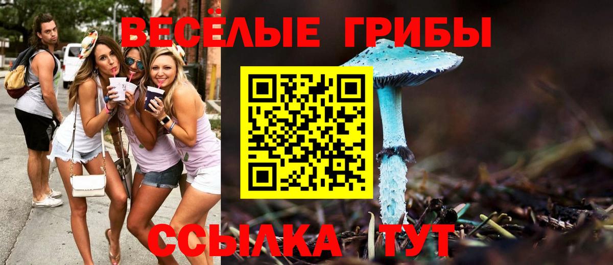 Псилоцибиновые грибы мицелий Протвино